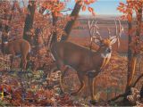 Hunting Scene Wall Murals Deer Paintings