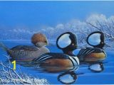 Hunting Scene Wall Murals original Duck Painting by Doug Walpus Hooded Mergansers