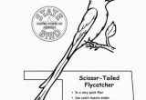 Idaho State Bird Coloring Page Idaho State Symbols Coloring Pages Idaho State Bird Coloring Page