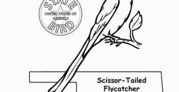 Idaho State Bird Coloring Page Idaho State Symbols Coloring Pages Idaho State Bird Coloring Page