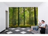 Ideal Decor Wall Murals Ideal Decor 100 In X 144 In Autumn forest Wall Mural