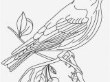 Iowa State Bird Coloring Page Iowa State Bird Coloring Page 20 Beautiful Animal Coloring Pages