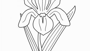 Iris Flower Coloring Page Printable Coloring Pages Dot the Dot