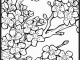 Japanese Cherry Blossom Coloring Pages Free Cherry Blossom Coloring Page to Print Out