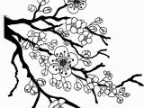 Japanese Cherry Blossom Coloring Pages Sakura Bloom Drawing