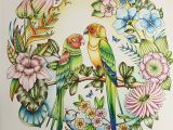 Johanna Basford Magical Jungle Colored Pages Magical Jungle by Johanna Basford Coloured by Morena