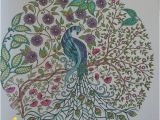 Johanna Basford Secret Garden Coloring Pages Johanna Basford Colouring Gallery