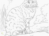 Kitty Cat Coloring Pages Printable Elegant Cat Coloring Pages Free Printable Awesome Cool Od Dog