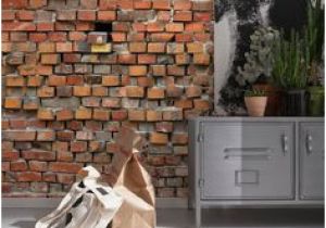 Komar Bricklane Wall Mural Die 19 Besten Bilder Von Holz & Stein Fototapeten