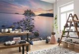 Komar National Geographic Wall Murals whytecliff