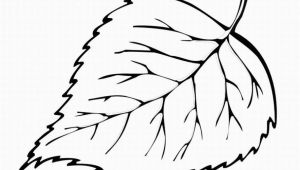 Large Fall Leaves Coloring Pages Free Printable Leaf Coloring Pages for Kids