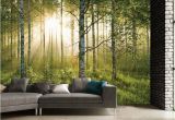 Large forest Wall Mural 1 Wall forest Giant Mural Sportpursuit