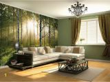 Large forest Wall Mural forest at Sunrise Vinyl Wall Mural Decal Digital