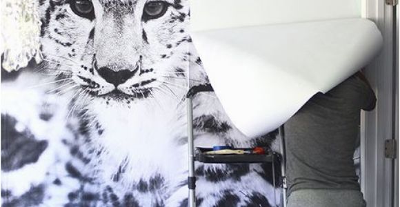 Leopard Print Wall Mural Snow Leopard Wallpaper Mural Diy