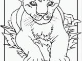 Lion Head Coloring Pages Lion Cub Coloring Page Coloring Page Free the Lion King