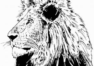 Lion Head Coloring Pages Lion Free Clipart 110