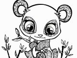 Littlest Pet Shop Coloring Pages Panda Owl Coloring Pages Free Printables