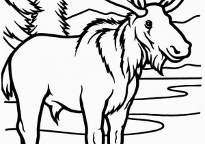 Lumberjack Coloring Pages Moose Coloring Pages 12 S Fly Coloring Page