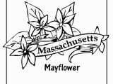 Massachusetts Flag Coloring Page Massachusetts Flag Coloring Page Awesome State Flower Coloring Pages
