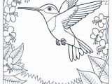 Meadowlark Coloring Page 29 Coloring Pages Birds