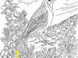 Meadowlark Coloring Page Flower Page Printable Coloring Sheets