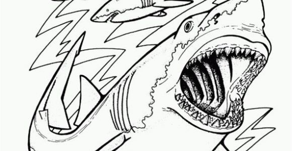 Megalodon Coloring Pages to Print Sharks Coloring Page Cartoon Pinterest