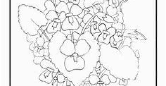 Michigan State Flower Coloring Page Michigan State Flower School Pinterest