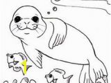 Michigan State Seal Coloring Page 12 En Iyi Monk Seal Colouring Pages Görüntüsü