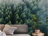 Misty forest Wall Mural forests From the Sky Ii Wall Mural Wallpaper forest