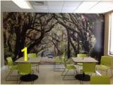Murals Your Way Reviews 56 Best Myw Customer Examples Images