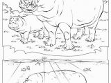 National Geographic Coloring Pages Animal Coloring Picture Fresh Animal Coloring Pages National