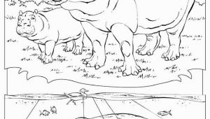 National Geographic Coloring Pages Animal Coloring Picture Fresh Animal Coloring Pages National