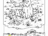 National Geographic Coloring Pages Coloring Book Animals A to I Science Pinterest