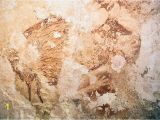 National Geographic Murals Rock Art Of Ages Indonesian Cave Paintings are 40 000 Years Old