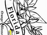 Oklahoma State Flower Coloring Page 85 Best Florida Images On Pinterest