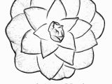 Oklahoma State Flower Coloring Page Flower Page Printable Coloring Sheets