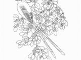 Oklahoma State Flower Coloring Page Tennis Wordsearch Crossword Puzzle and More