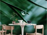 Outdoor Wall Murals Wallpaper Raindrops On A Pine Needle Wall Mural Wallpaper Nature