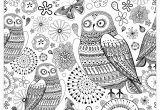 Owl Color Pages for Adults Owls Owls Adult Coloring Pages