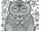 Owl Color Pages for Adults Pin by Rachel Burgener On Coloring Collections