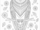 Owl Mandala Coloring Pages for Adults Owl Coloring Pages Coloringbay