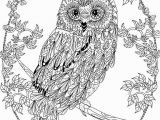 Owl Mandala Coloring Pages for Adults Owl Coloring Pages for Adults Free Detailed Owl Coloring