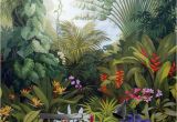 Painted Garden Wall Murals Details About Mid Ages Garden forest Removable Wall Mural