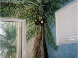 Palm Tree Beach Wall Mural Palm Tree Mural Artwork by Louise Moorman