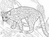 Parable Of the Rich Fool Coloring Page Parable the Rich Fool Coloring Page Inspirational Gist Coloring