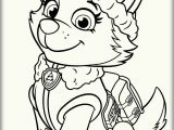 Paw Patrol Coloring Pages All Pups Paw Patrol Everest Coloring Pages