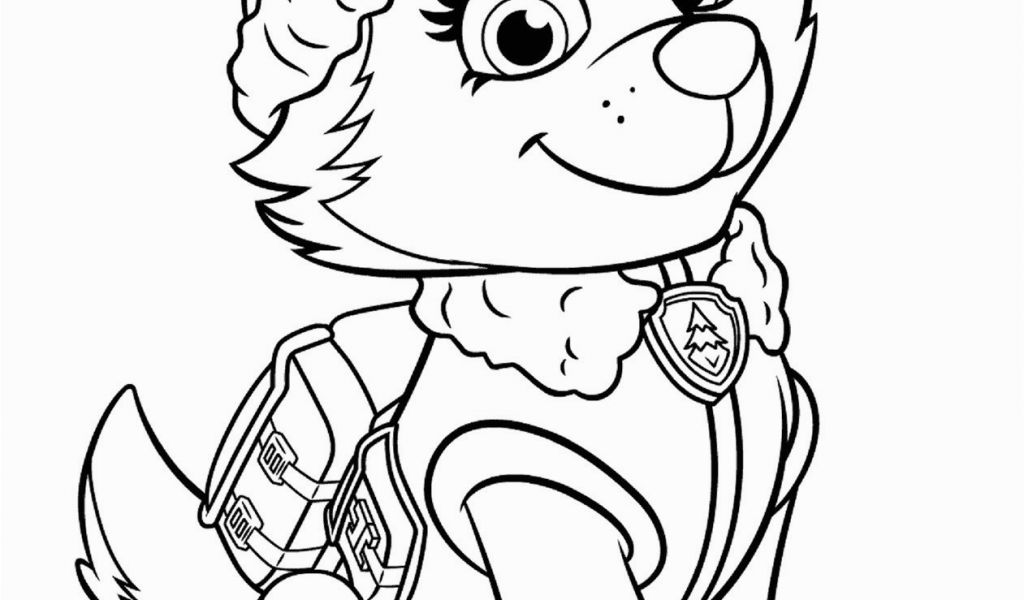 Paw Patrol Coloring Pages All Pups Paw Patrol Malen Malvorlagen Gratis ...