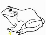 Peace Frog Coloring Pages 42 Best Frog Tattoo Coloring Pages Images On Pinterest