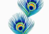 Peacock Feather Wall Mural Peacock Feathers In 2020