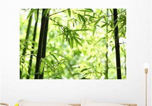 Peel and Stick Murals for Walls Amazon Wallmonkeys Bamboo Wall Mural Peel and Stick